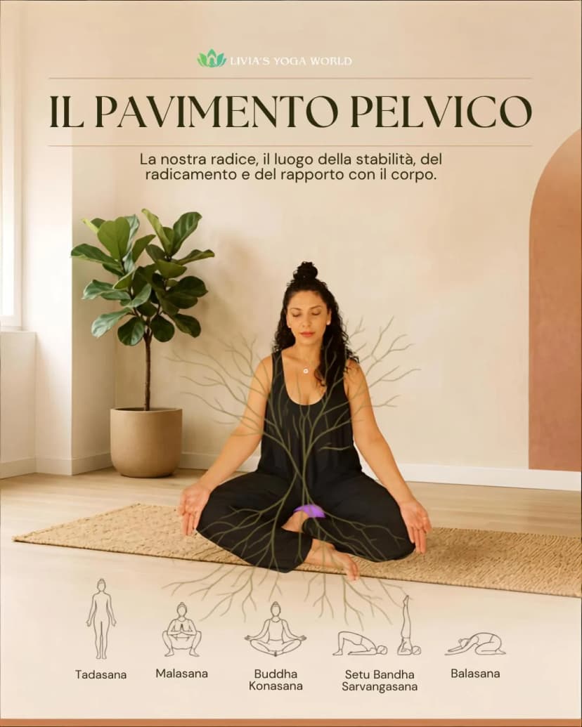 Il pavimento pelvico: il centro nascosto tra corpo, respiro ed energia